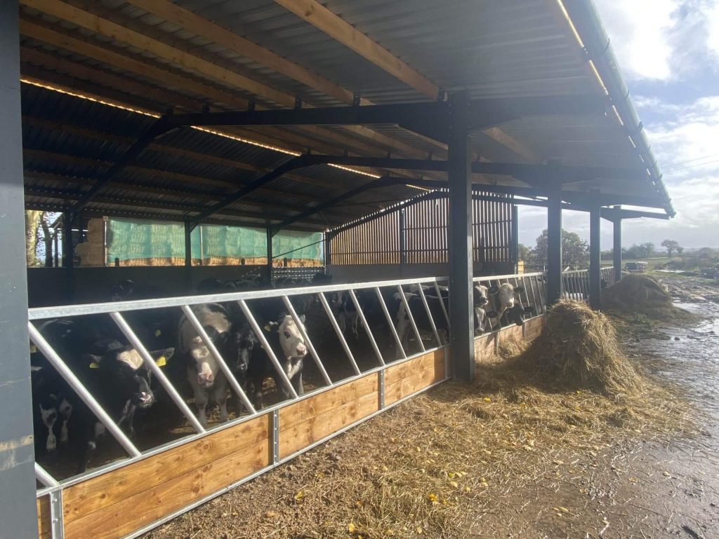 Agricultural Steel framed building - cattle shed